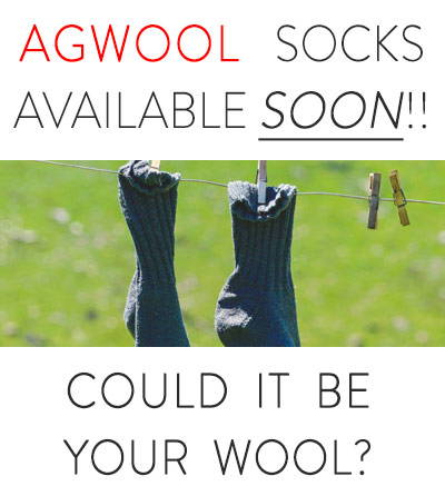 AGWOOL-SOCKS